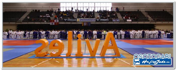 AVILES 10 300008